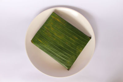 High angle view of green leaf on white background