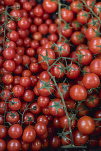 Full frame shot of tomatoes