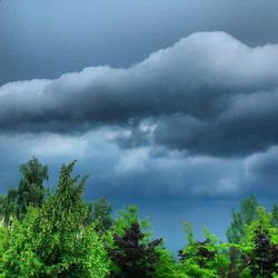 Low angle view of trees against cloudy sky