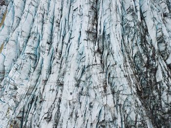 Low angle view of trees