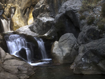 Scenic view of waterfall in forest