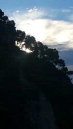 Silhouette trees against sky during sunset