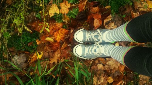 Low section of people standing on field surrounded by autumn leaves