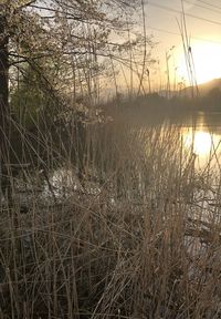 Scenic view of lake against sky during sunset