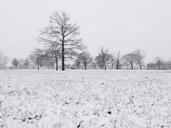 Trees on field against clear sky during winter