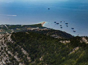 High angle view of trees beach and sea