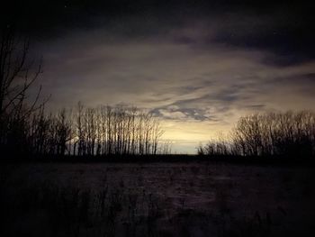 Silhouette bare trees on field against sky at sunset