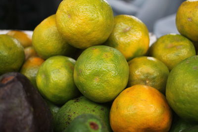 Close-up of oranges