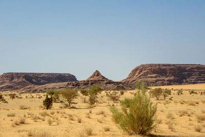 Scenic view of desert against clear sky