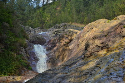 Scenic view of waterfall in forest