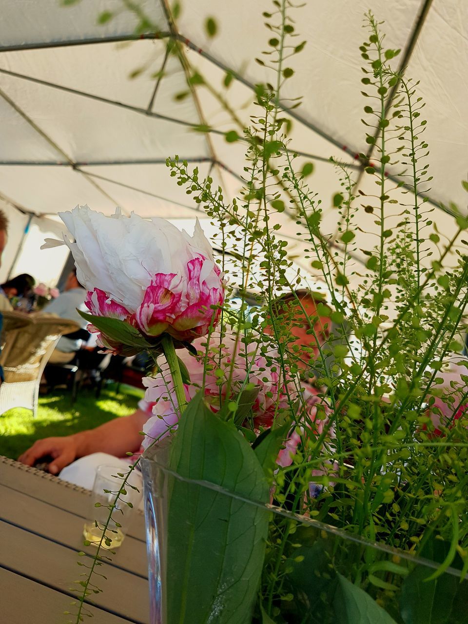 CLOSE-UP OF PINK FLOWERS