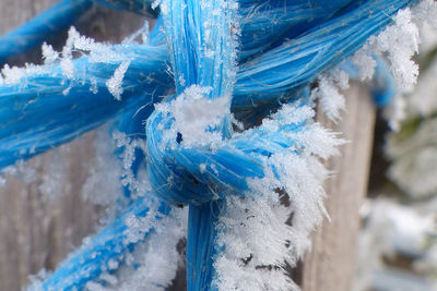 Close-up of blue tied up