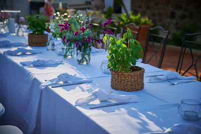 Potted plant on table