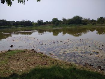 Scenic view of lake against clear sky