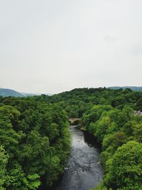 Scenic view of green landscape against clear sky