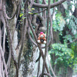 Bird perching on a tree