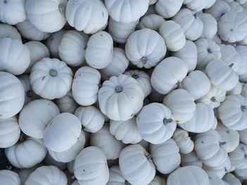 Full frame shot of onions for sale at market