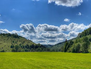 Scenic view of field against sky