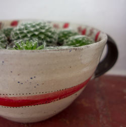 Close-up of drink on table