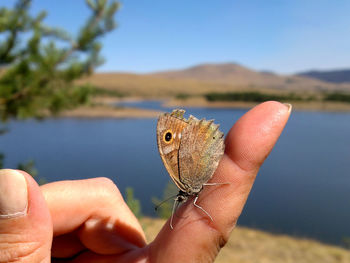 Close-up of hand holding a lizard