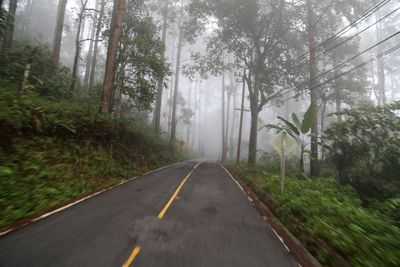 Road passing through country road