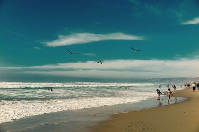 Birds flying over beach against sky