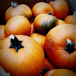 Close-up of vegetables for sale