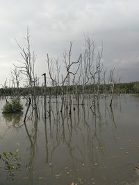 View of lake against cloudy sky