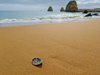 Surface level of rocks on beach against sky