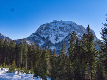 Scenic view of snowcapped mountains against clear blue sky