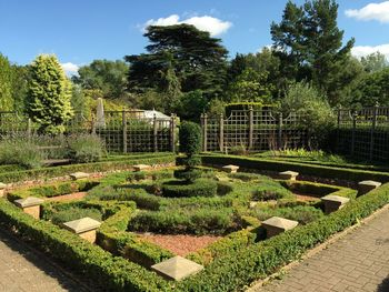 View of garden in park