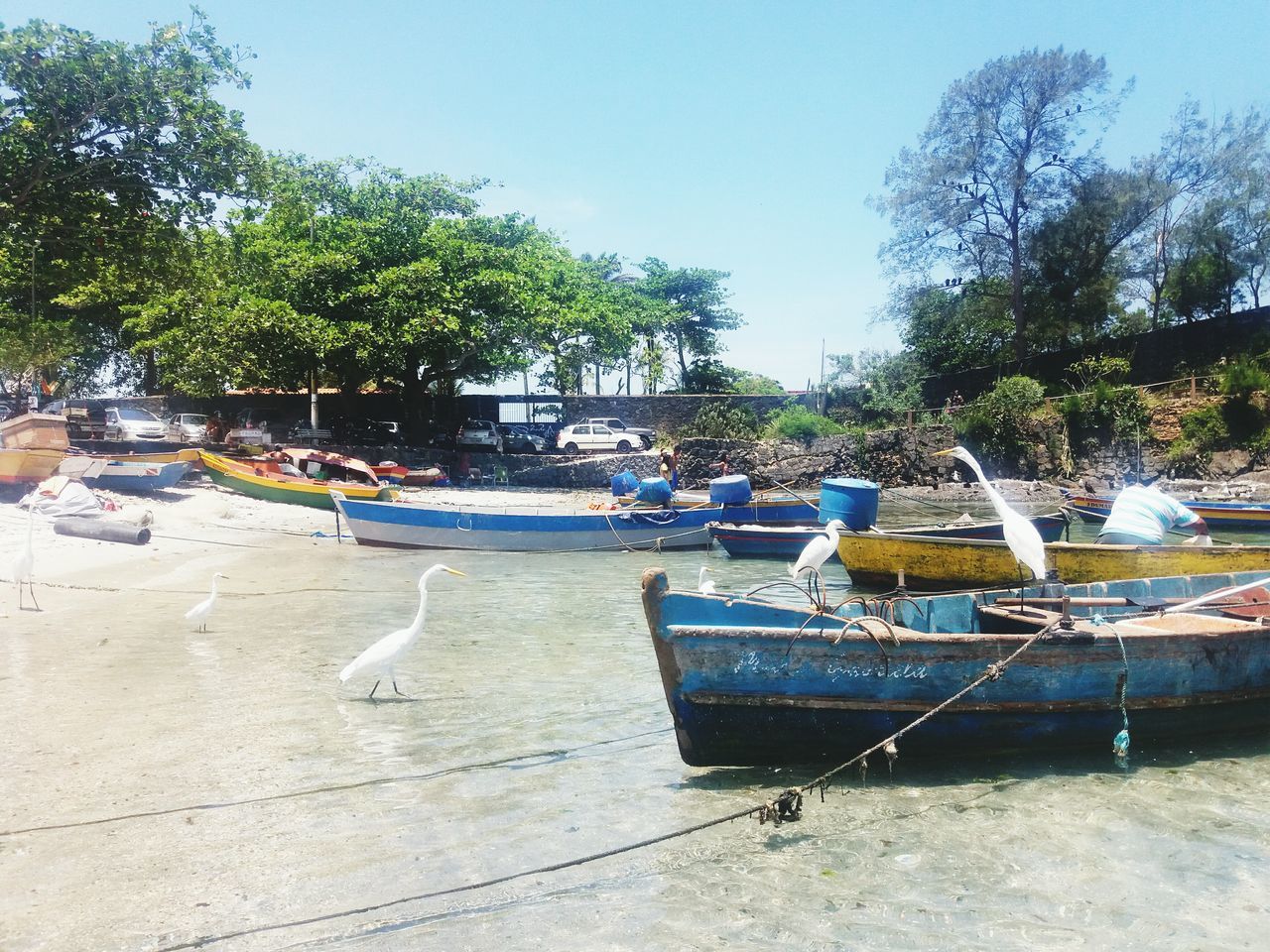 BOATS IN PARK AGAINST SKY