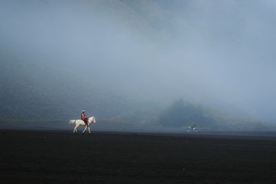 Distant view of man riding horse at beach during foggy weather
