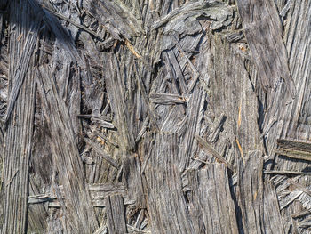 Full frame shot of wood shavings on sunny day