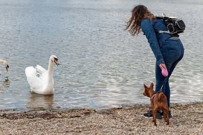 Young girl walking with her cute miniature pinscher by the lake.