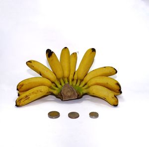 Close-up of fruit against white background