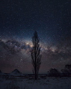 Trees on field against sky at night