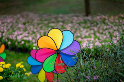 Colourful rainbow pinwheel in the park.