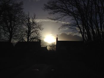 Bare trees against sky at sunset