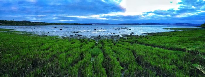 Scenic view of landscape against cloudy sky