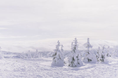 Scenic view of snow covered field against sky