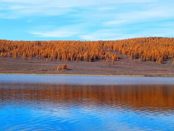 Scenic view of a lake