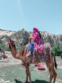 Camel with beduin on field 