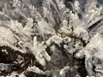 Full frame shot of ice crystal of a plant