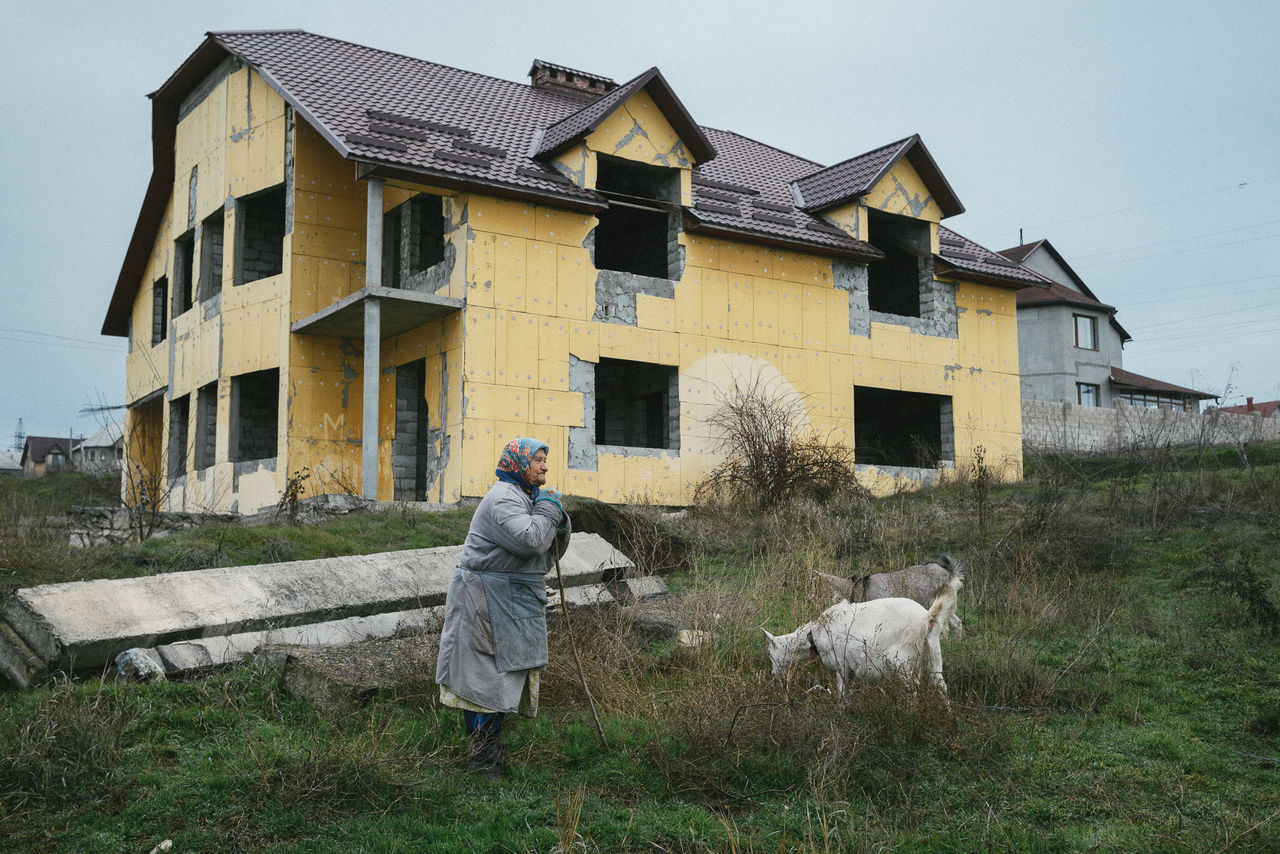 architecture, building exterior, real people, house, built structure, one person, mammal, domestic animals, one animal, day, working, field, dog, men, grass, livestock, outdoors, pets, occupation, nature, sky, people