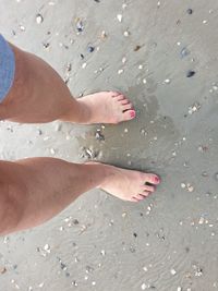 Low section of woman standing on beach