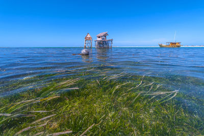 Scenic view of sea against blue sky