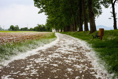 Road amidst trees on field against sky