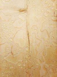 Full frame shot of wooden floor