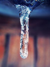 Close-up of icicles against blurred background